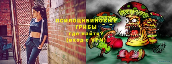 героин Алексин