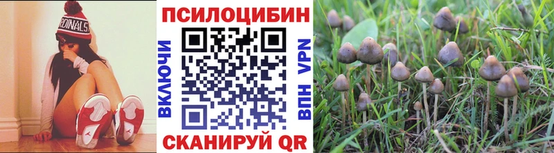 Галлюциногенные грибы Magic Shrooms MEGA маркетплейс Мостовской